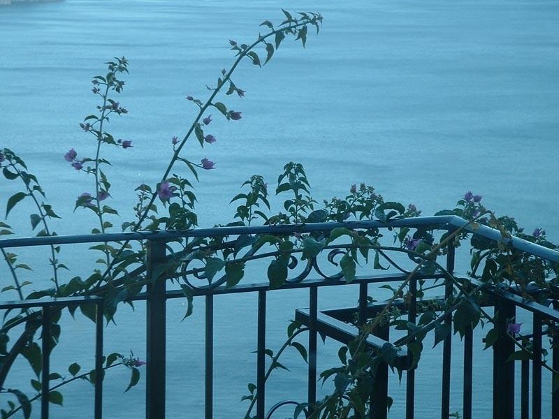 Il Giardino Dei Limoni Apartment Ravello Exterior foto